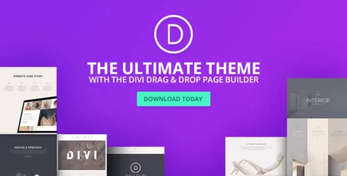 Elegant Themes The Divi Builder - Image 1